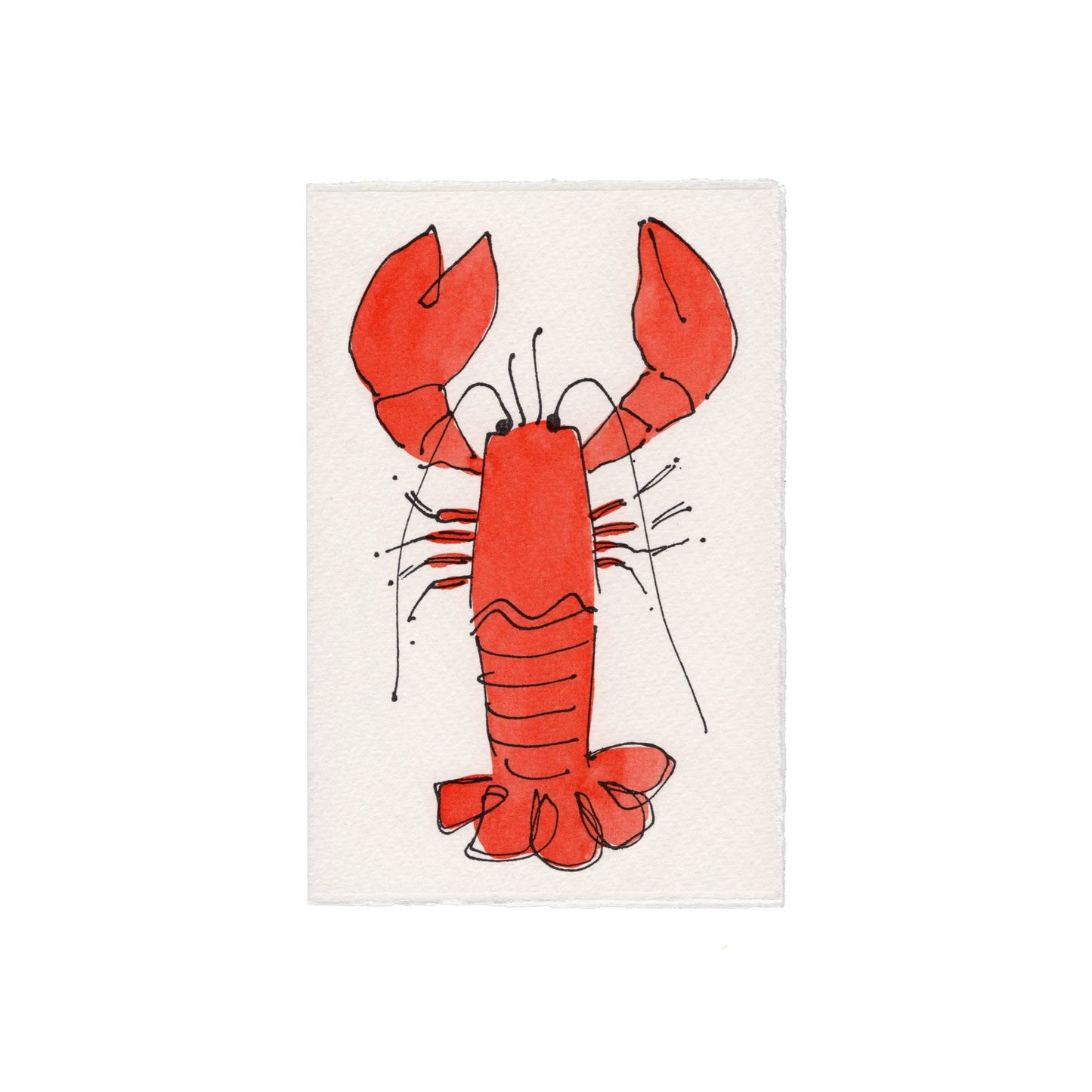 Scribble & Daub - Lobster Card